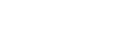 Deezer logo in white