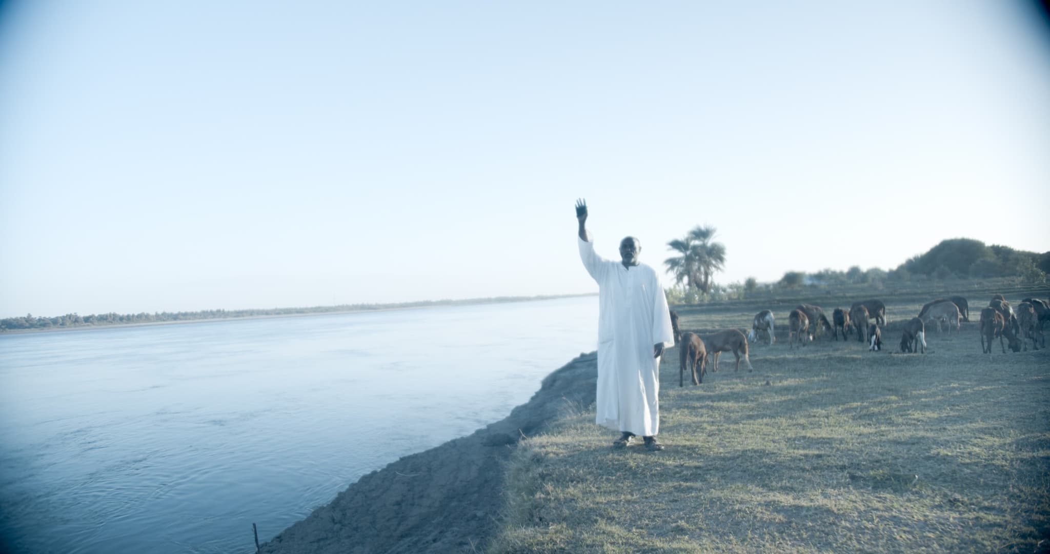 A photo of a man standing on the edge of a piece of land next to a river, presumably the Nile. He is dressed in white and is raising one hand. There are goats behind him.